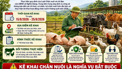 THÔNG BÁO VỀ VIỆC KÊ KHAI HOẠT ĐỘNG CHĂN NUÔI 6 THÁNG CUỐI NĂM 2026