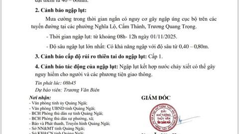 TIN CẢNH BÁO NGẬP LỤT TRÊN ĐỊA BÀN TỈNH QUẢNG NGÃI